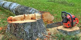 Best Tree Mulching  in Whitehouse, TX