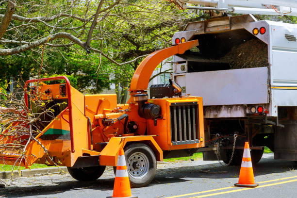 Mulching Services in Whitehouse, TX